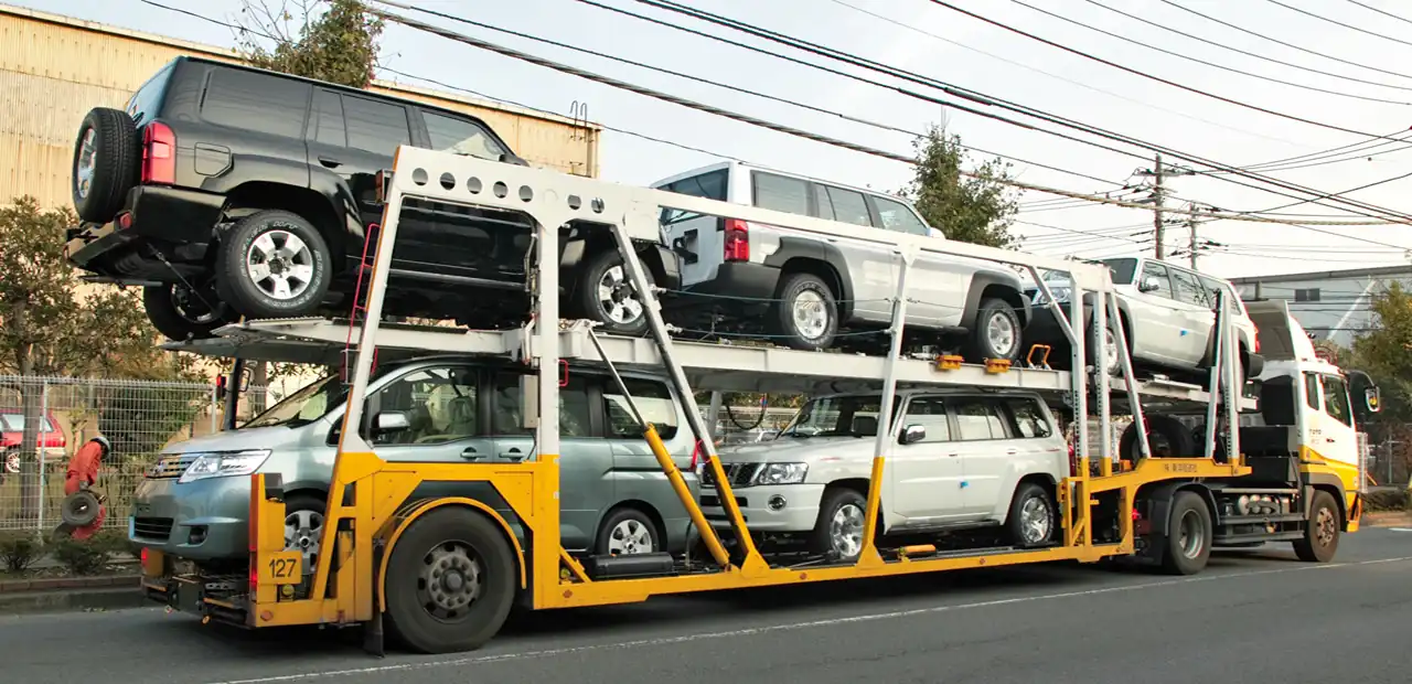 transportes de veiculos